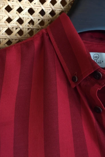 Red & Deep Maroon Stripe Shirt